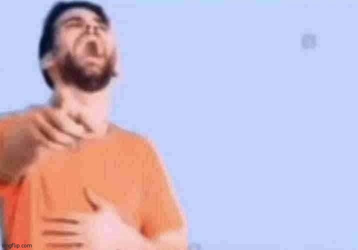 holy SHIT ! ! ! ! is that some MOTHERFUCKING JPEG DEGRADE?!?! that is SO fucking FUNNY! ! ! HA!! TAKE MY ROSES!! BEST COMEDIAN!! | image tagged in laughing and pointing | made w/ Imgflip meme maker