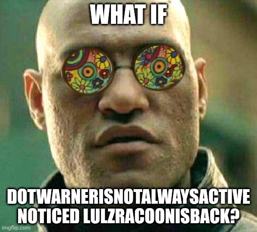 Would he fight or get scared? | What if; Dotwarnerisnotalwaysactive noticed LULZRACOONISBACK? | image tagged in acid kicks in morpheus | made w/ Imgflip meme maker