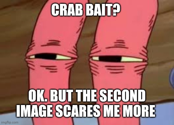 Mr. Krabs Smelly Smell | Crab bait? Ok. But the second image scares me more | image tagged in mr krabs smelly smell | made w/ Imgflip meme maker