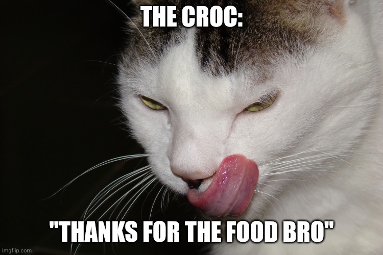YUMMY | The croc: "Thanks for the food bro" | image tagged in yummy | made w/ Imgflip meme maker