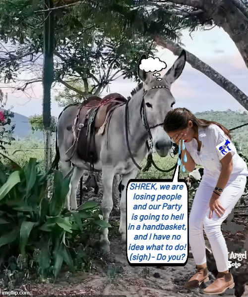 AOC confides in her pet donkey shrek | SHREK, we are 
losing people
and our Party
is going to hell
in a handbasket,
and I have no
idea what to do!
(sigh) - Do you? Angel
Soto | image tagged in aoc cries with her pet donkey,aoc,shrek,democrat party,hell,donkey | made w/ Imgflip meme maker