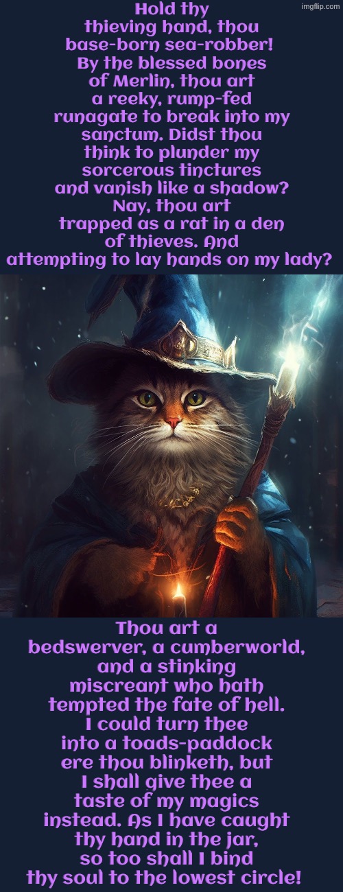 Thou Art A Bedswerver And A Cumberworld | Hold thy thieving hand, thou base-born sea-robber!  By the blessed bones of Merlin, thou art a reeky, rump-fed runagate to break into my sanctum. Didst thou think to plunder my sorcerous tinctures and vanish like a shadow? Nay, thou art trapped as a rat in a den of thieves. And attempting to lay hands on my lady? Thou art a bedswerver, a cumberworld, and a stinking miscreant who hath tempted the fate of hell. I could turn thee into a toads-paddock ere thou blinketh, but I shall give thee a taste of my magics instead. As I have caught thy hand in the jar, so too shall I bind thy soul to the lowest circle! | image tagged in cats,medieval memes,pirates,wizards,stealing,kidnapping | made w/ Imgflip meme maker