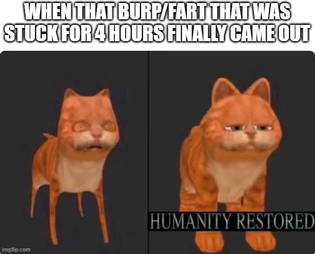 humanity restored | when that burp/fart that was
stuck for 4 hours finally came out | image tagged in humanity restored | made w/ Imgflip meme maker