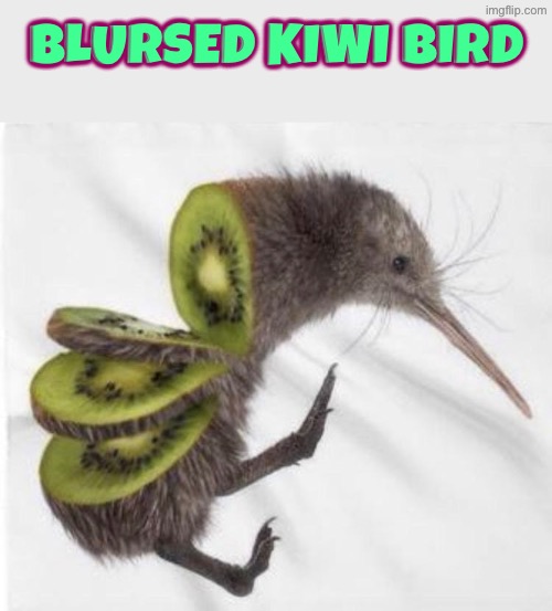 Kiwi Bird | Blursed Kiwi Bird | image tagged in cursed images,blursed,kiwi,new zealand,cool stuff,photoshop | made w/ Imgflip meme maker