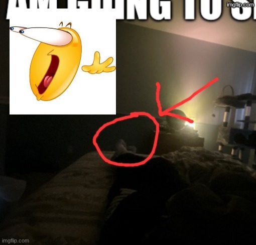 bottslayers feet | made w/ Imgflip meme maker