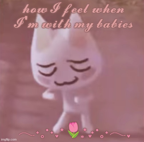 𝓱𝓸𝔀 𝓘 𝓯𝓮𝓮𝓵 𝔀𝓱𝓮𝓷 𝓘'𝓶 𝔀𝓲𝓽𝓱 𝓶𝔂 𝓫𝓪𝓫𝓲𝓮𝓼; 𓂃˖˳·˖ ִֶָ ⋆🌷͙⋆ ִֶָ˖·˳˖𓂃 ִֶָ | image tagged in cute cat | made w/ Imgflip meme maker