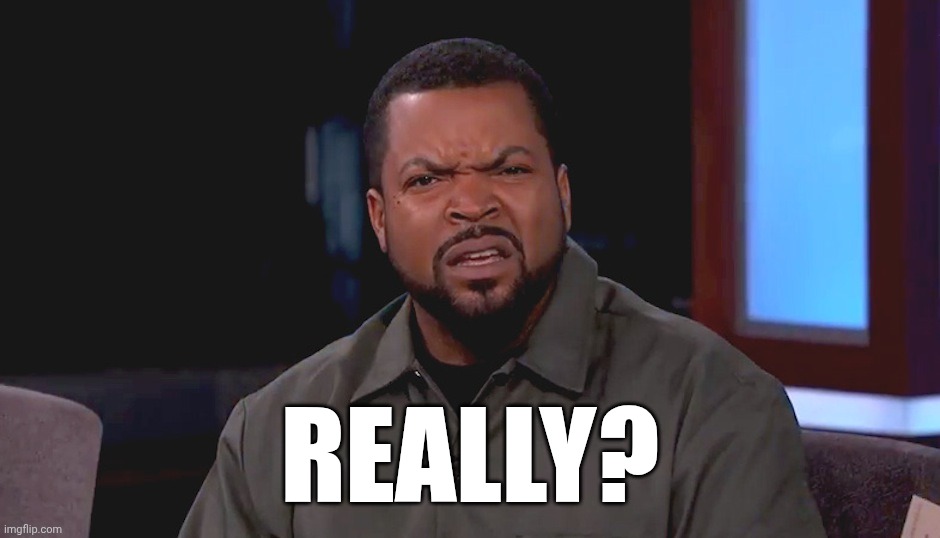 Really? Ice Cube | Really? | image tagged in really ice cube | made w/ Imgflip meme maker