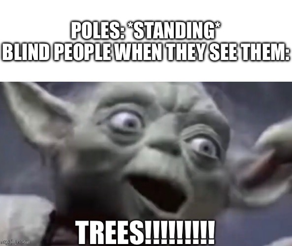 To them, they’re metal trees | POLES: *STANDING*
BLIND PEOPLE WHEN THEY SEE THEM: | image tagged in trees yoda,pole,metal,blind,do you are have stupid | made w/ Imgflip meme maker