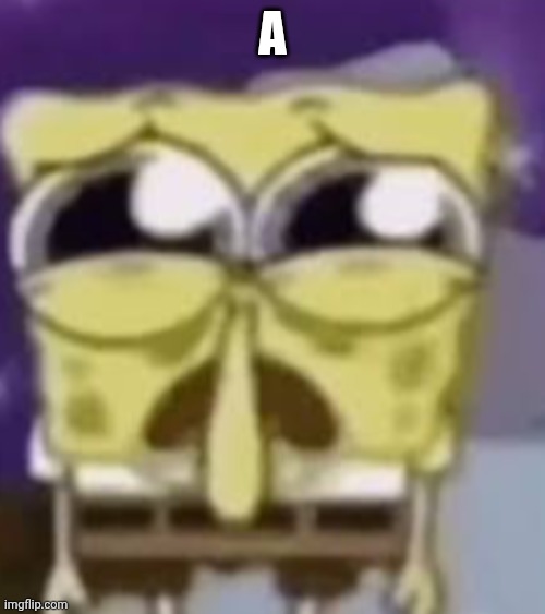 the skrunkly bunky | A | image tagged in the skrunkly bunky | made w/ Imgflip meme maker