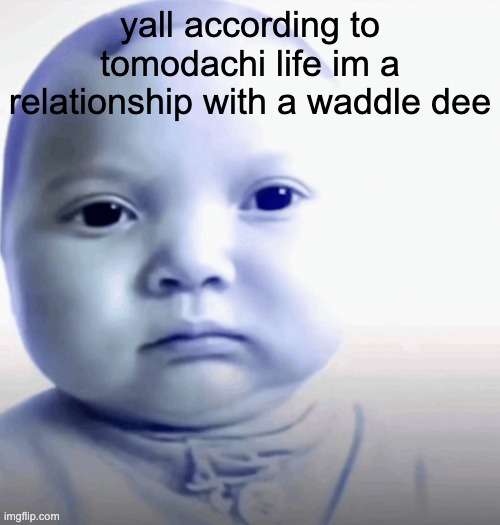mf's will say lol anf this will be their face behind the screen | yall according to tomodachi life im a relationship with a waddle dee | image tagged in son | made w/ Imgflip meme maker