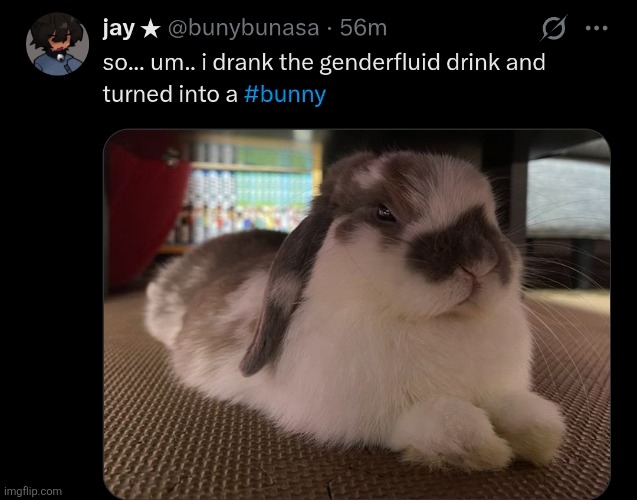 Is this true? | made w/ Imgflip meme maker