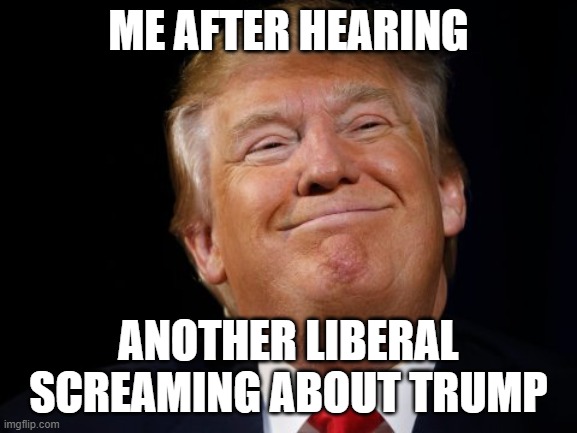 Smug Trump | Me after hearing; another liberal screaming about Trump | image tagged in smug trump,memes | made w/ Imgflip meme maker