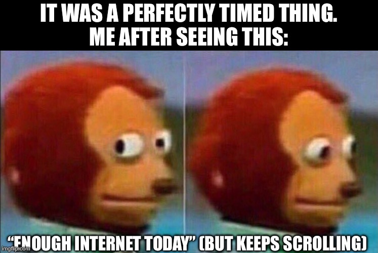 Monkey looking away | It was a perfectly timed thing.
Me after seeing this: “Enough internet today” (but keeps scrolling) | image tagged in monkey looking away | made w/ Imgflip meme maker