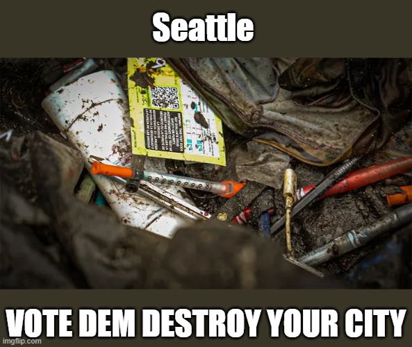 Seattle; Vote Dem destroy your city | made w/ Imgflip meme maker
