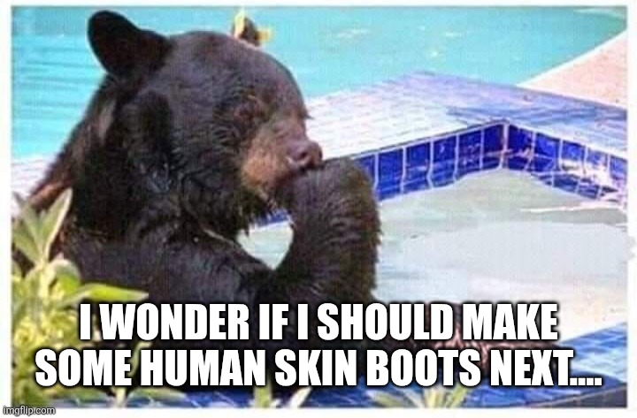 Thinking bear | I wonder if I should make some human skin boots next.... | image tagged in thinking bear | made w/ Imgflip meme maker