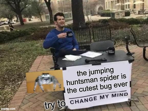 cutest bug ever | the jumping huntsman spider is the cutest bug ever; try to | image tagged in memes,change my mind | made w/ Imgflip meme maker