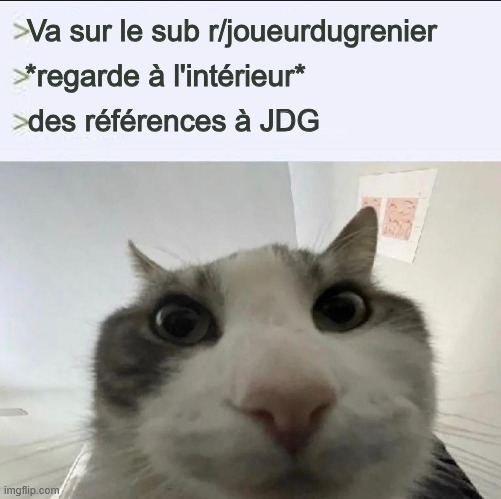 Cat looks inside | Va sur le sub r/joueurdugrenier; *regarde à l'intérieur*; des références à JDG | image tagged in cat looks inside | made w/ Imgflip meme maker