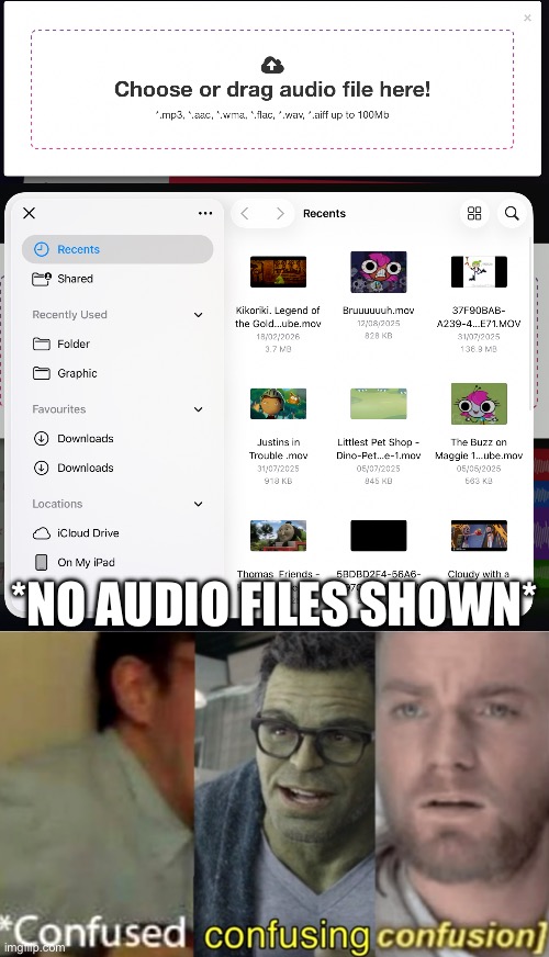 You said AUDIO files! YOU HAD ONE JOB! | *NO AUDIO FILES SHOWN* | image tagged in confused confusing confusion,you had one job,files,audio,vocal remover,do you are have stupid | made w/ Imgflip meme maker