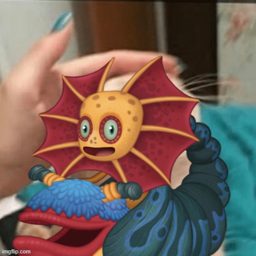 Pet the cat | image tagged in pet the cat | made w/ Imgflip meme maker