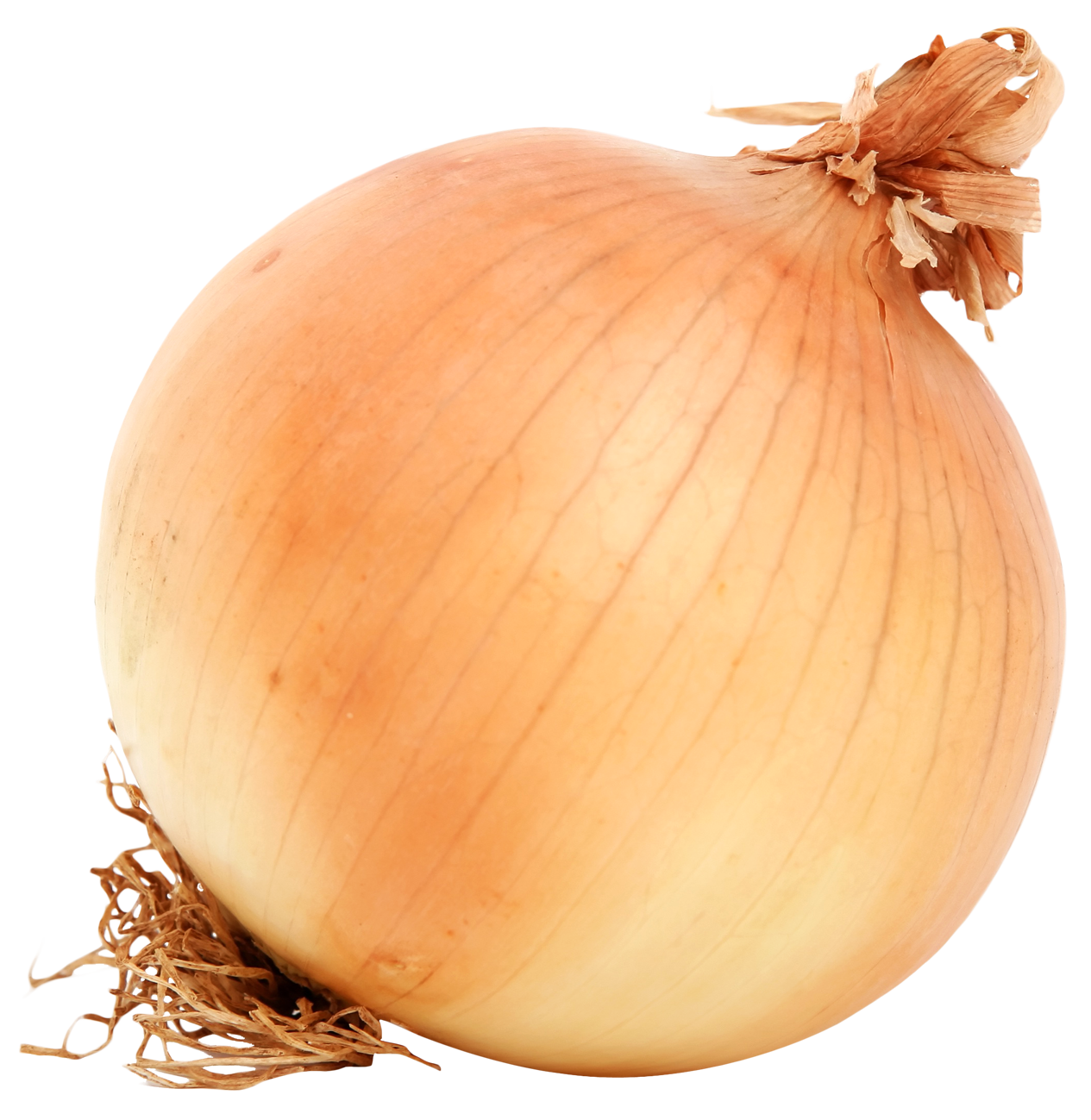 onion Blank Meme Template