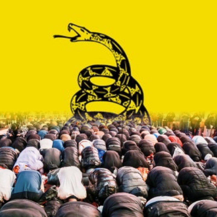 Don't tread on me to tread all over me Blank Meme Template