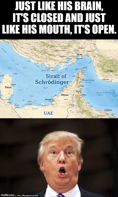 Just like his brain, it's closed and just like his mouth, it's open. | image tagged in trump stupid face | made w/ Imgflip meme maker