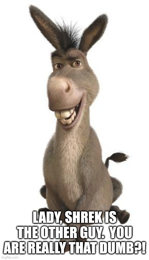 Lady, Shrek is the other guy.  You are really that dumb?! | image tagged in donkey from shrek | made w/ Imgflip meme maker