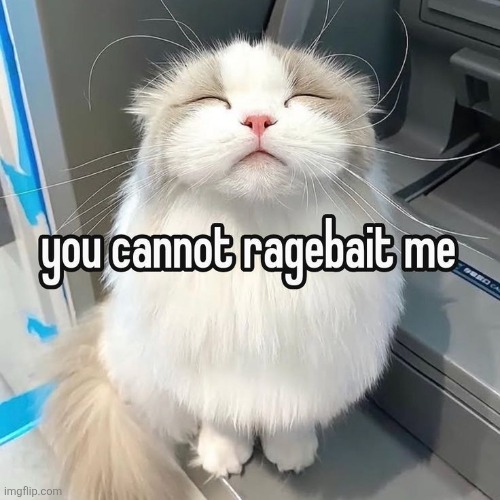 Can you try to rage bait me? Currently rage bait-able | made w/ Imgflip meme maker