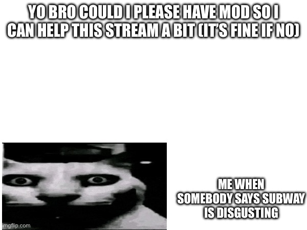 Yo bro could I please have mod so I can help this stream a bit (it’s fine if no); Me when somebody says subway is disgusting | made w/ Imgflip meme maker