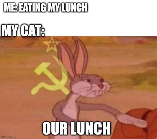 He thinks hes slick with it. | Me: Eating my lunch; My cat:; Our lunch | image tagged in our,cats,food | made w/ Imgflip meme maker