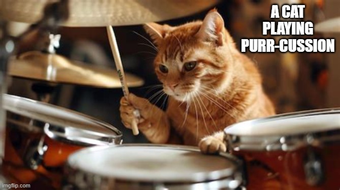 Here's a rare picture of a cat playing purr-cussion. | a cat playing purr-cussion | image tagged in cat,kittens,funny,humor,drums,music | made w/ Imgflip meme maker