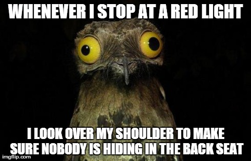 Weird Stuff I Do Potoo Meme | WHENEVER I STOP AT A RED LIGHT I LOOK OVER MY SHOULDER TO MAKE SURE NOBODY IS HIDING IN THE BACK SEAT | image tagged in memes,weird stuff i do potoo | made w/ Imgflip meme maker