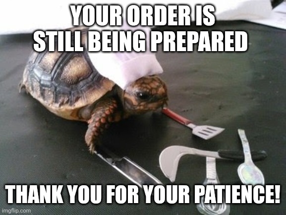 Door dash order is being prepared | Your order is still being prepared; Thank you for your patience! | image tagged in turtle meme | made w/ Imgflip meme maker