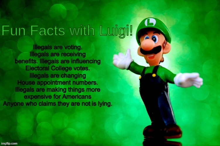 Needs to end now! | Illegals are voting. Illegals are receiving benefits. Illegals are influencing Electoral College votes.
Illegals are changing House appointment numbers.
Illegals are making things more expensive for Americans
Anyone who claims they are not is lying. | image tagged in fun facts with luigi,memes,funny,illegal,politics,political meme | made w/ Imgflip meme maker