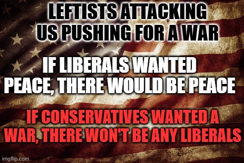 Civilwar Left against Right | Leftists attacking us pushing for a war; If liberals wanted peace, there would be peace; If conservatives wanted a war, there won't be any liberals | image tagged in us flag,politics,right wing,liberal vs conservative,conservatives | made w/ Imgflip meme maker