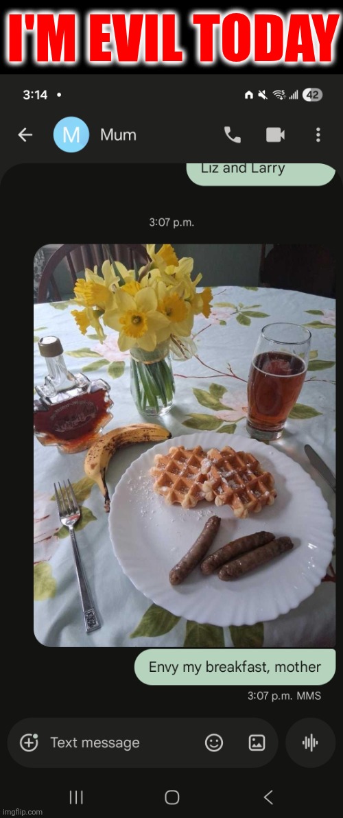 Waffle are pancakes with abs | I'm evil today | image tagged in waffle,breakfast,text,tag you're it,this is a tag,if you read this tag comment that your frog bit you | made w/ Imgflip meme maker