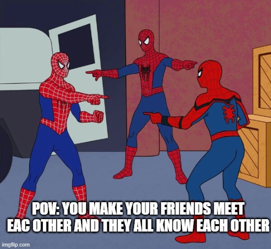 Sppoder man Aaah | POV: YOU MAKE YOUR FRIENDS MEET EAC OTHER AND THEY ALL KNOW EACH OTHER | image tagged in spider man triple | made w/ Imgflip meme maker