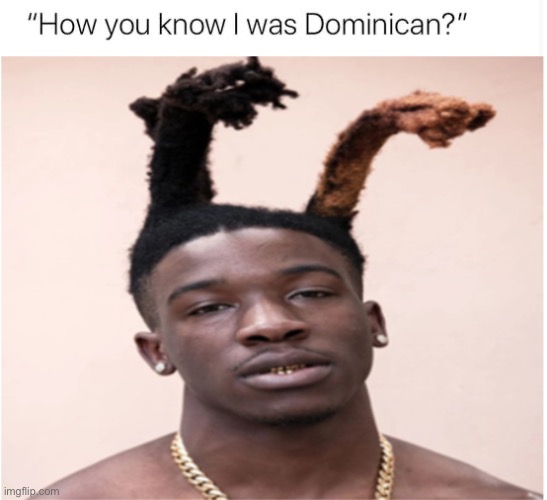 Or some kind of Caribbean | image tagged in fml,fuuuuuuu,lol | made w/ Imgflip meme maker