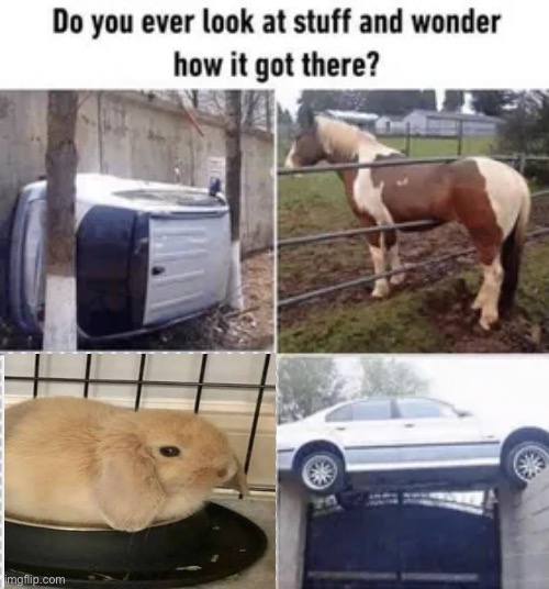 image tagged in funny,memes | made w/ Imgflip meme maker