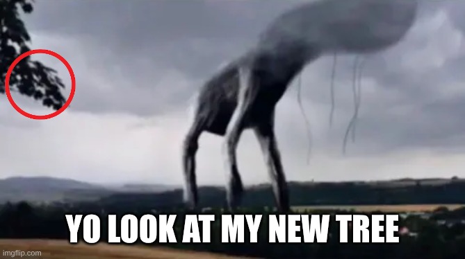 epic tree am i right? | yo look at my new tree | image tagged in day 17 | made w/ Imgflip meme maker