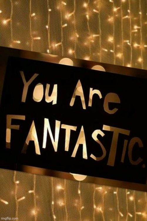 fantastic | image tagged in fantastic | made w/ Imgflip meme maker