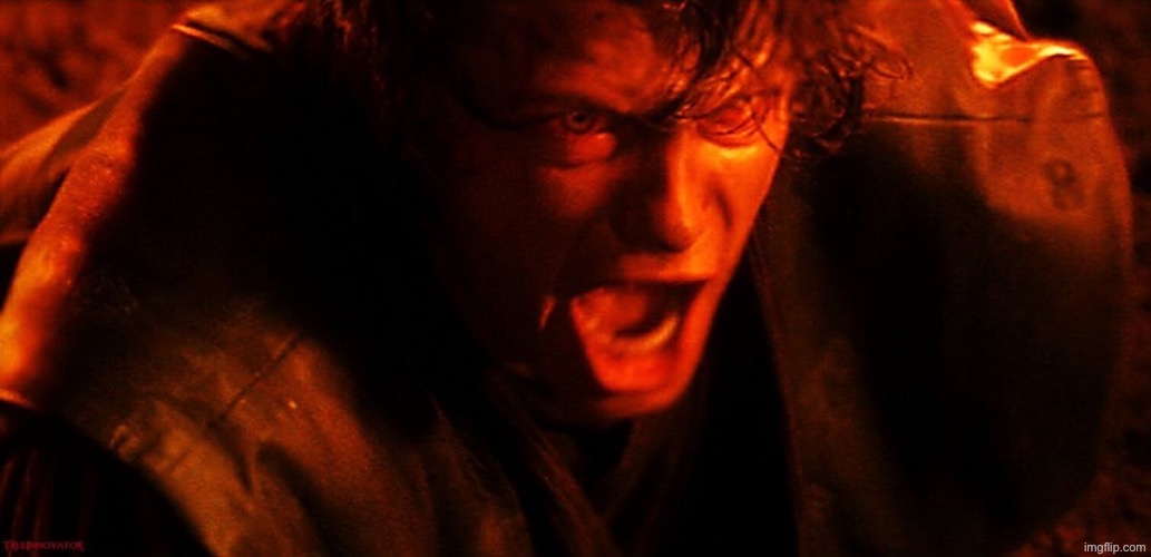 Uuuuuh sir this is a wendy's | image tagged in anakin i hate you | made w/ Imgflip meme maker