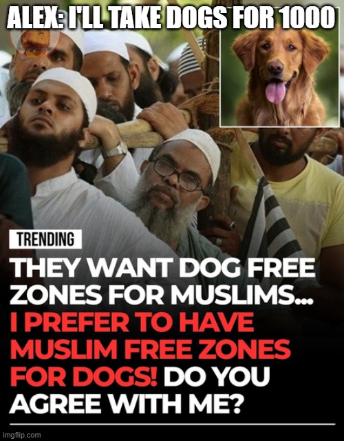 Dogs vs Muslims? Dogs 100% | Alex: I'll take dogs for 1000 | image tagged in dogs vs muslims dogs 100 | made w/ Imgflip meme maker