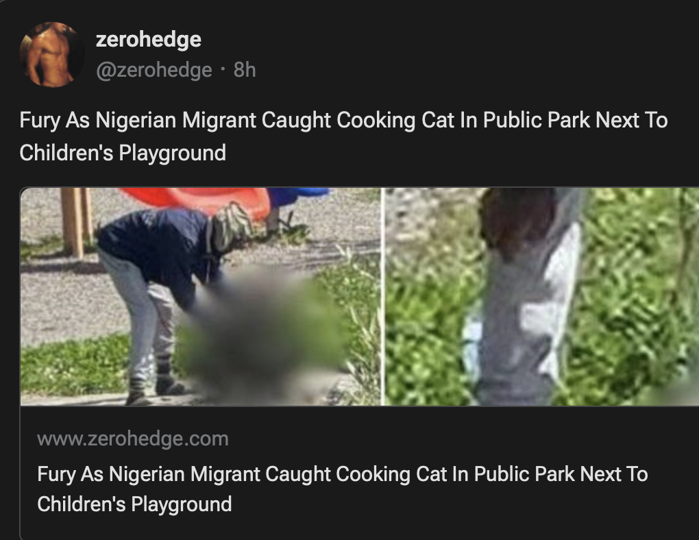 Nigerian Snatches Cat, Eats It Blank Meme Template
