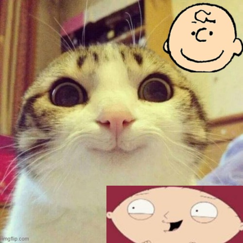 asking how you would quote this meme? | image tagged in memes,smiling cat | made w/ Imgflip meme maker