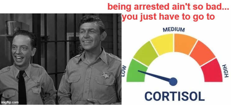 high vs low cortisol | being arrested ain't so bad...
you just have to go to | image tagged in high vs low cortisol | made w/ Imgflip meme maker