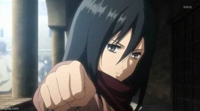 Mikasa Ackerman Brofist | image tagged in mikasa ackerman brofist | made w/ Imgflip meme maker