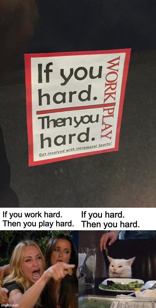 if you hard. then you hard. | If you work hard. Then you play hard. If you hard. Then you hard. | image tagged in memes,woman yelling at cat,why are you reading the tags,oh wow are you actually reading these tags,ha ha tags go brr | made w/ Imgflip meme maker