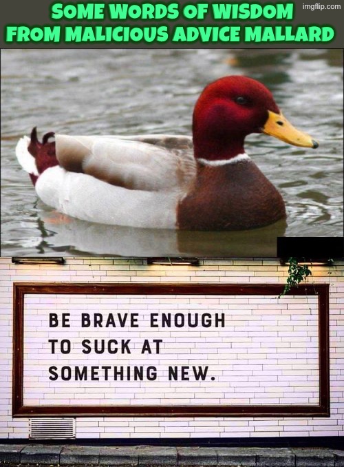 Some Words Of Wisdom | Some Words of wisdom from malicious advice mallard | image tagged in make actual bad advice mallard,you suck,words of wisdom,funny memes,new day,bad advice | made w/ Imgflip meme maker