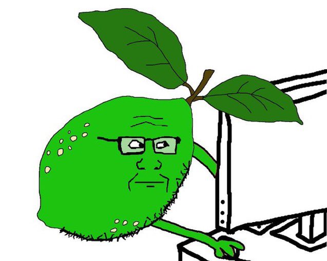 LIME soyjak at computer Blank Meme Template